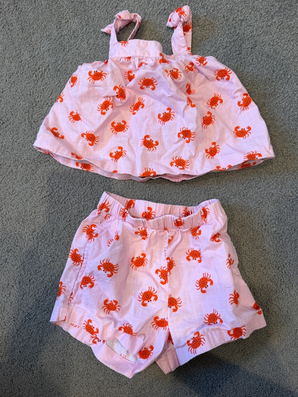 Hanna Andersson Pink Top and Shorts Set with Orange Crab Print